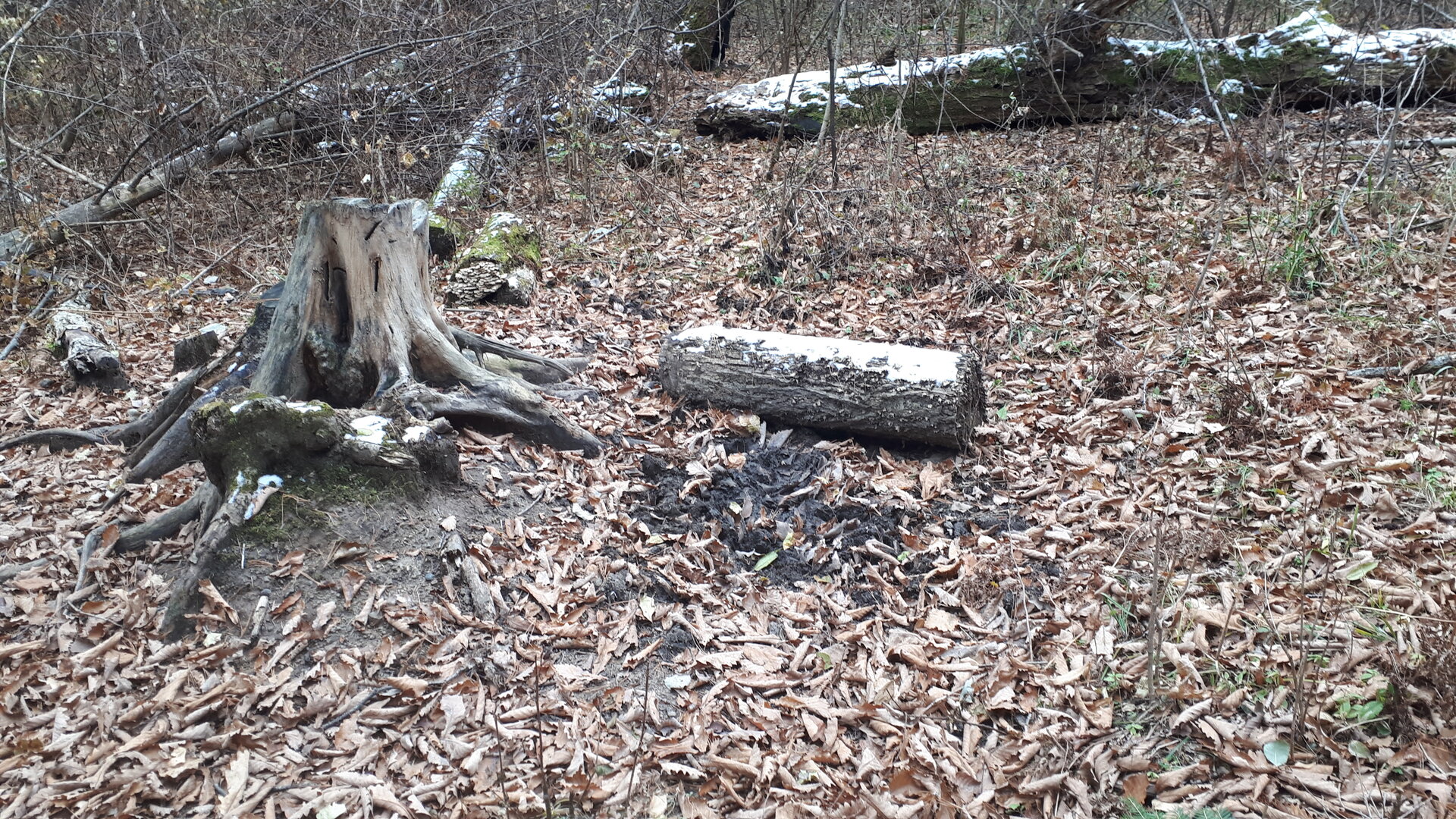 20251020_141831.jpg
