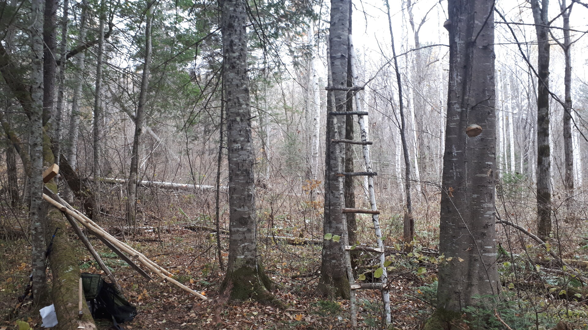 20251020_145823.jpg