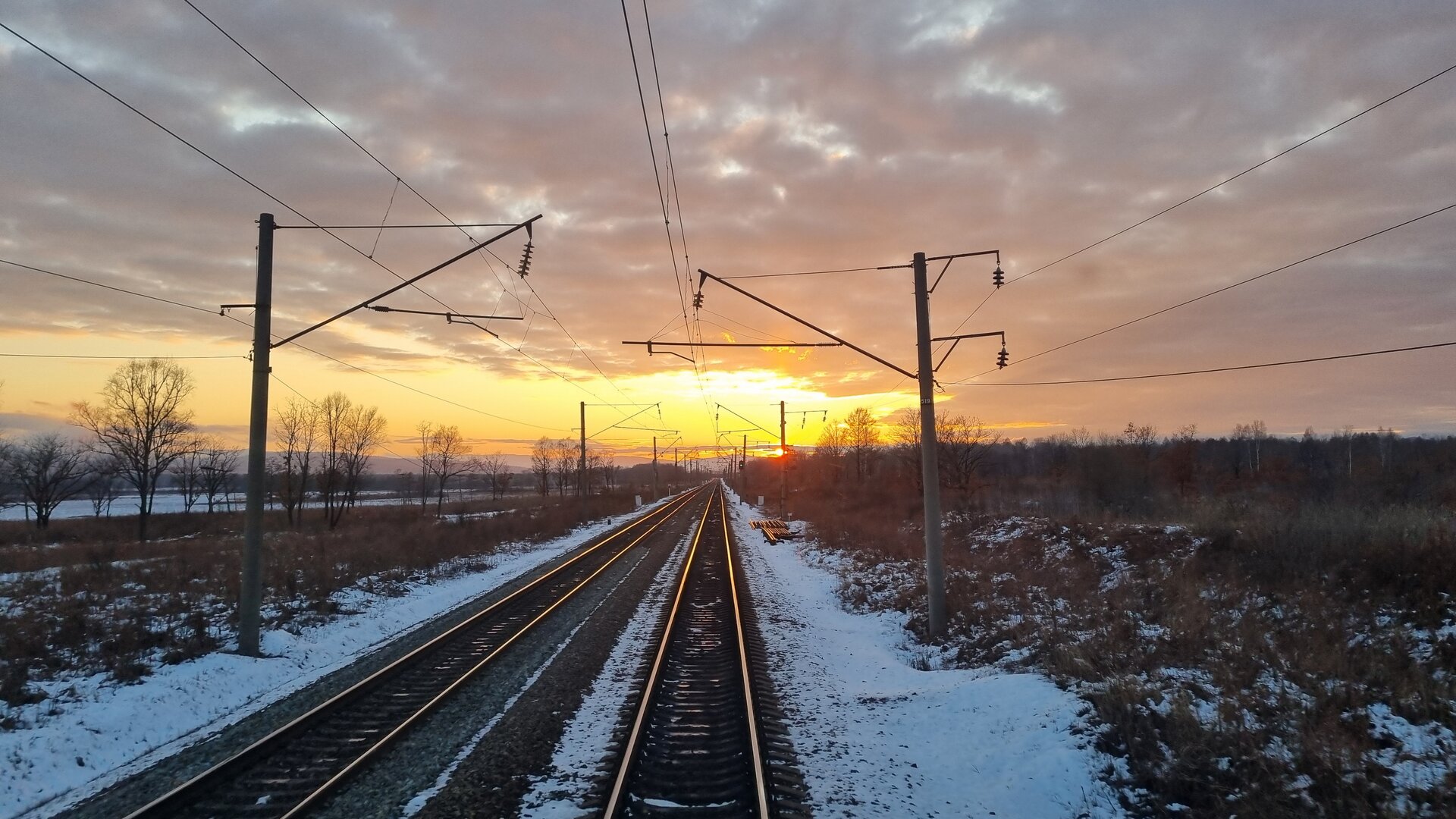 20260328_192117.jpg