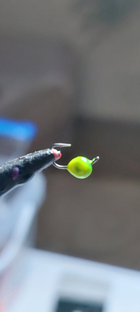 20260404_090835.jpg