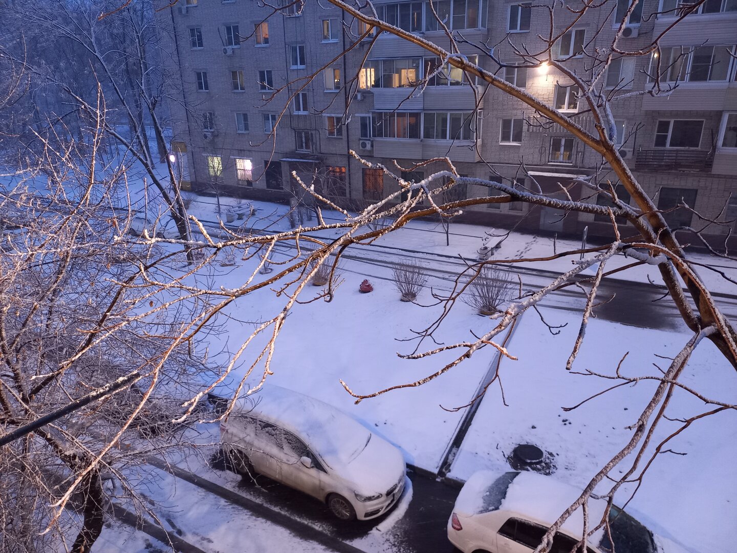 20260406_194620.jpg