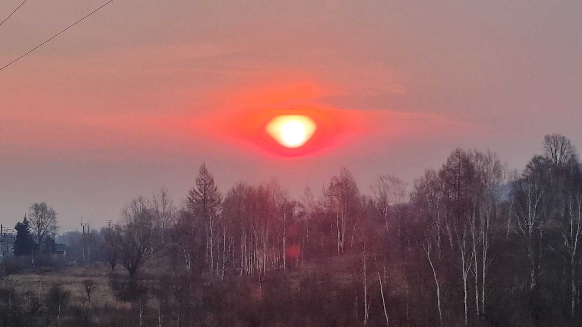 20260418_064254.jpg