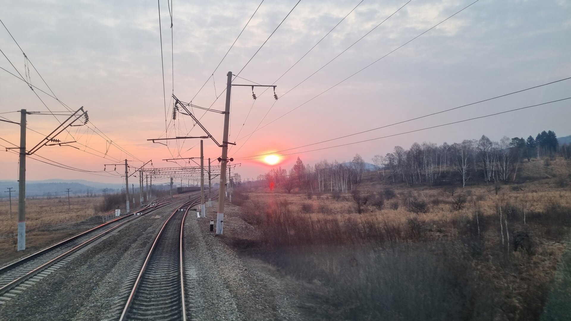 20260418_064309.jpg