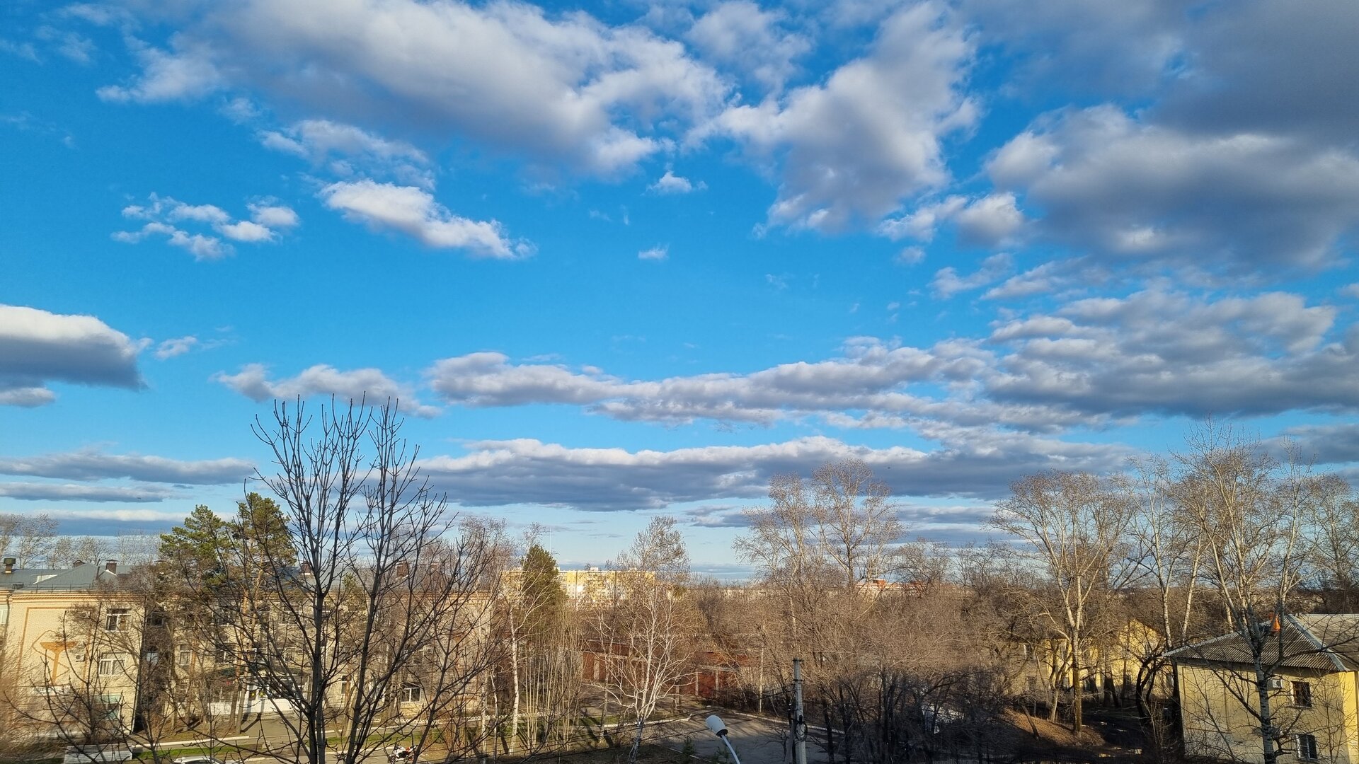 20260424_183618.jpg