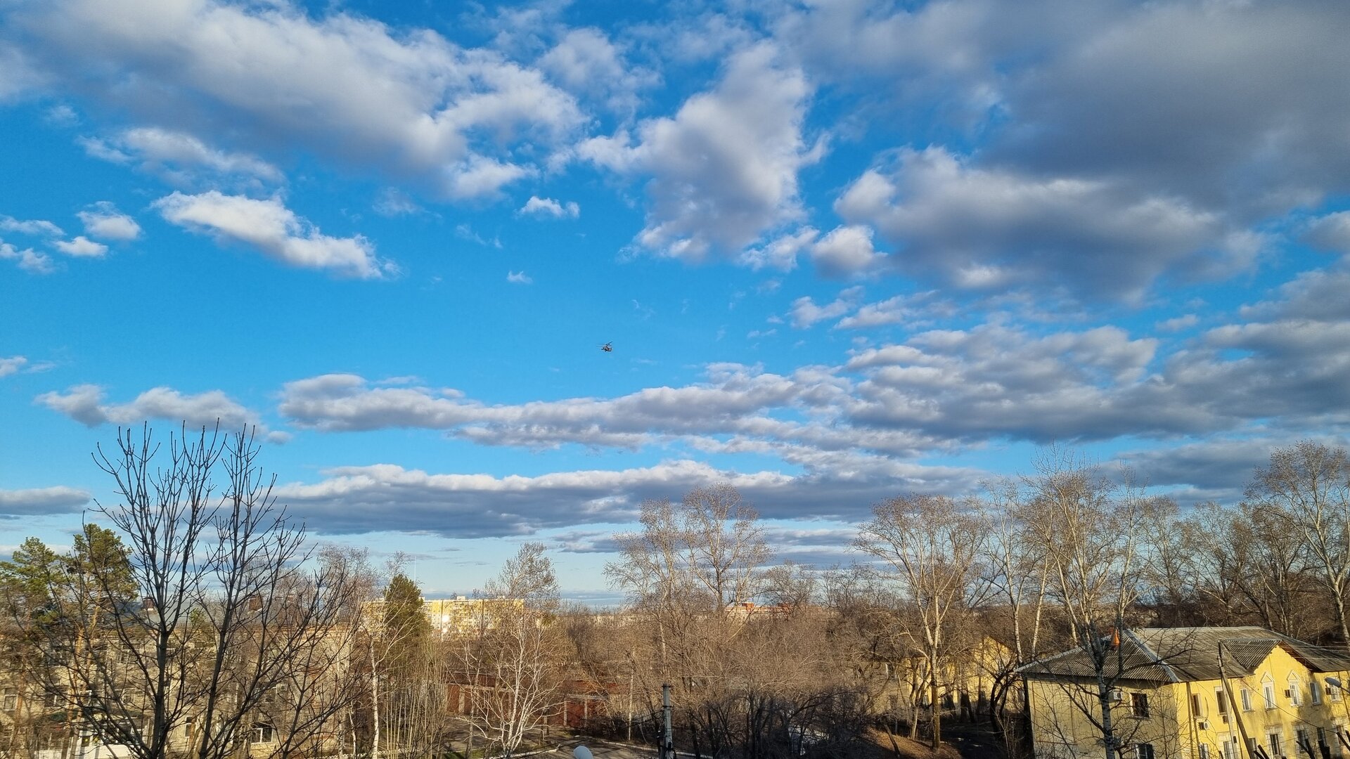 20260424_183642.jpg