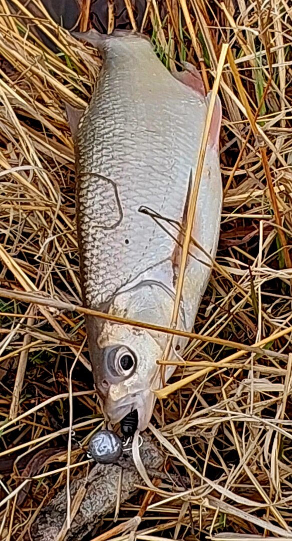 20260426_140659.jpg
