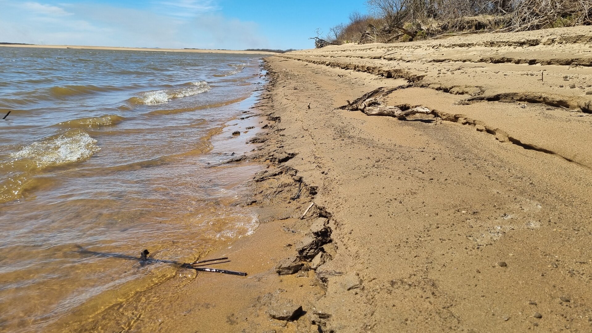 20260501_112900.jpg