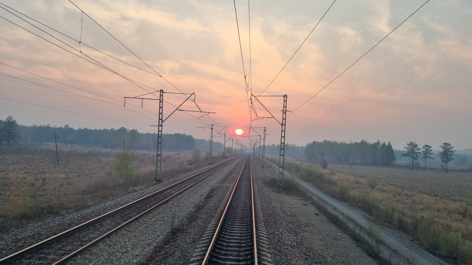 20260513_201555.jpg