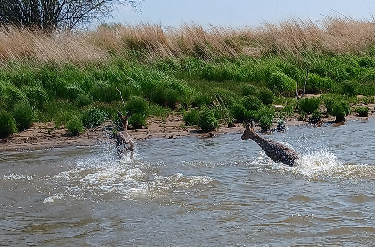 20260519_144915.jpg