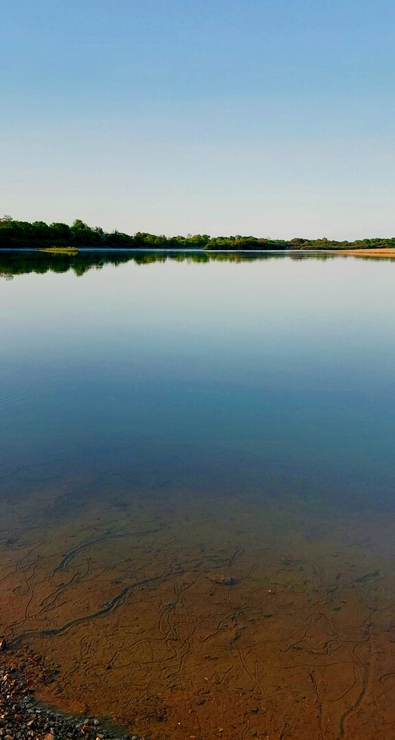 20260522_064159.jpg