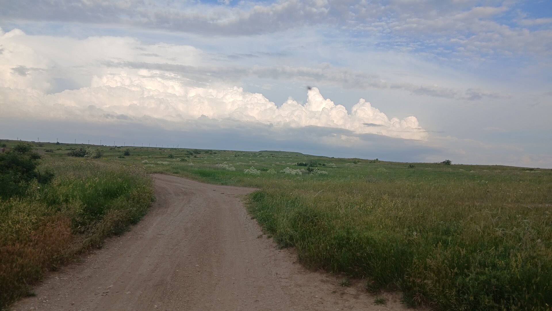 20260523_184311.jpg