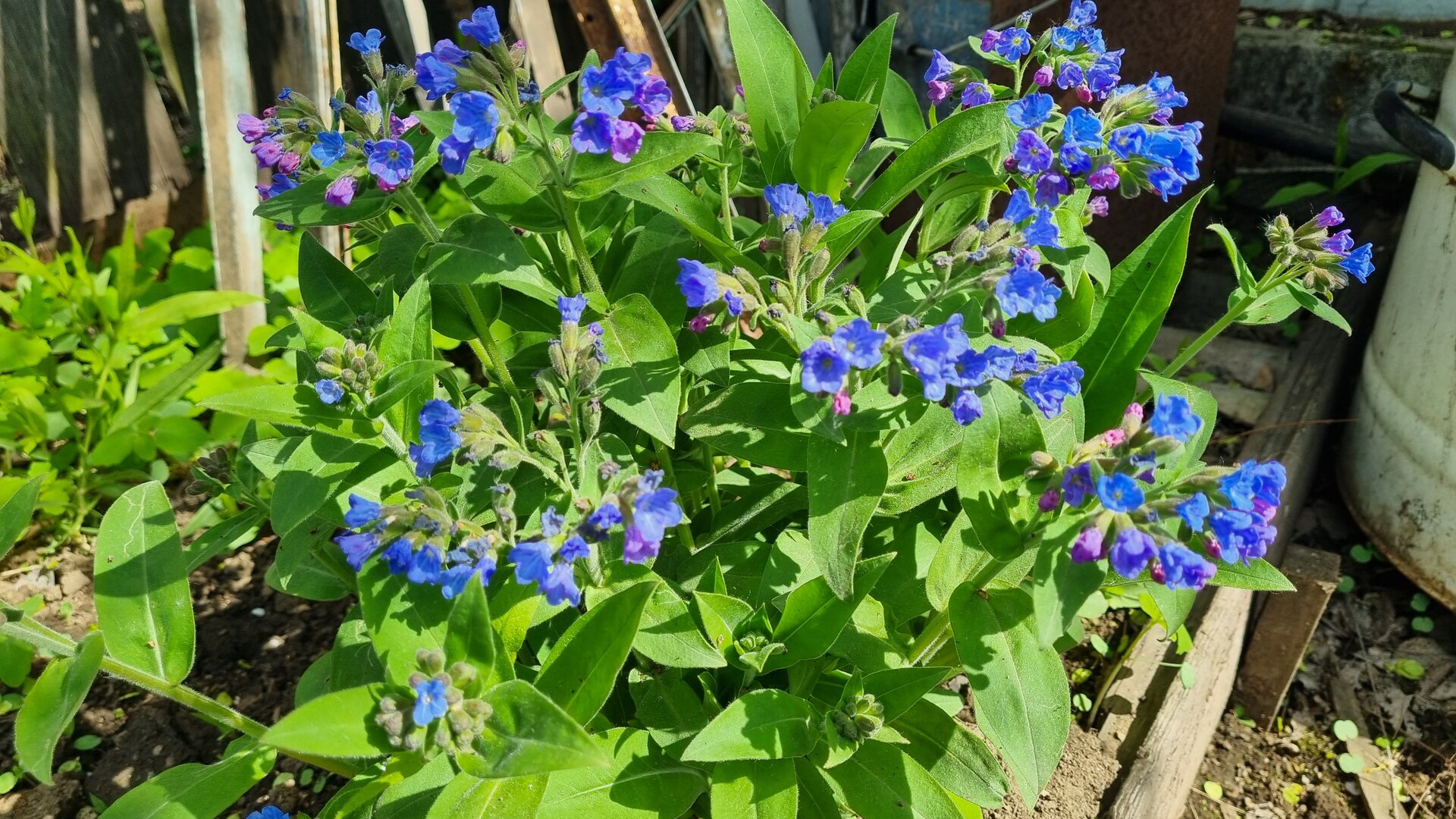 20260526_161229.jpg