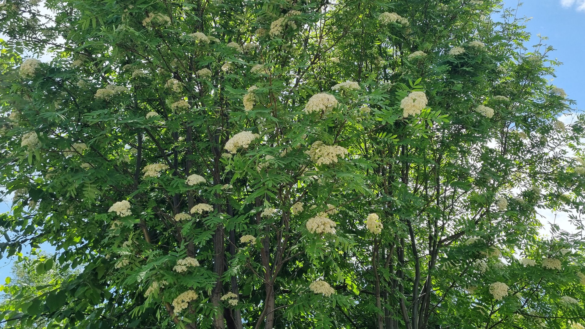 20260601_124408.jpg