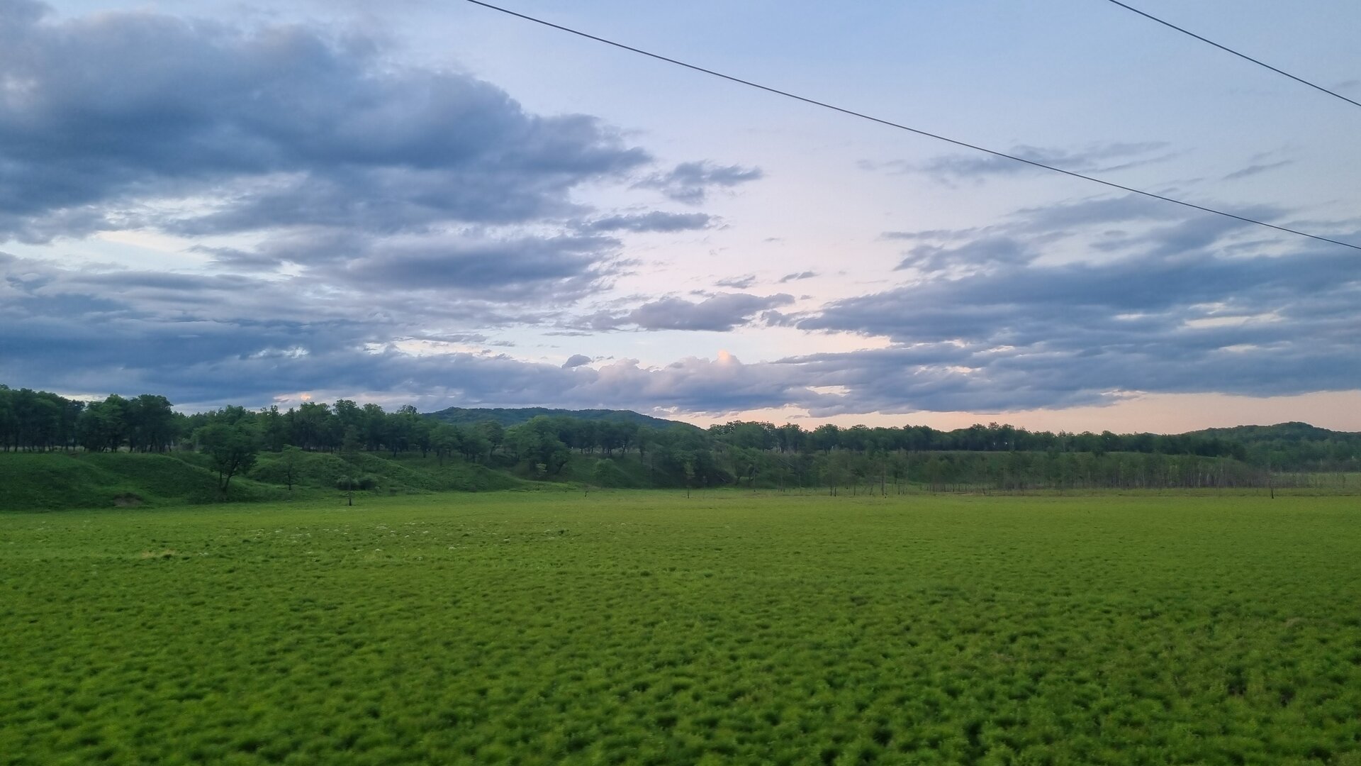 20260603_205230.jpg