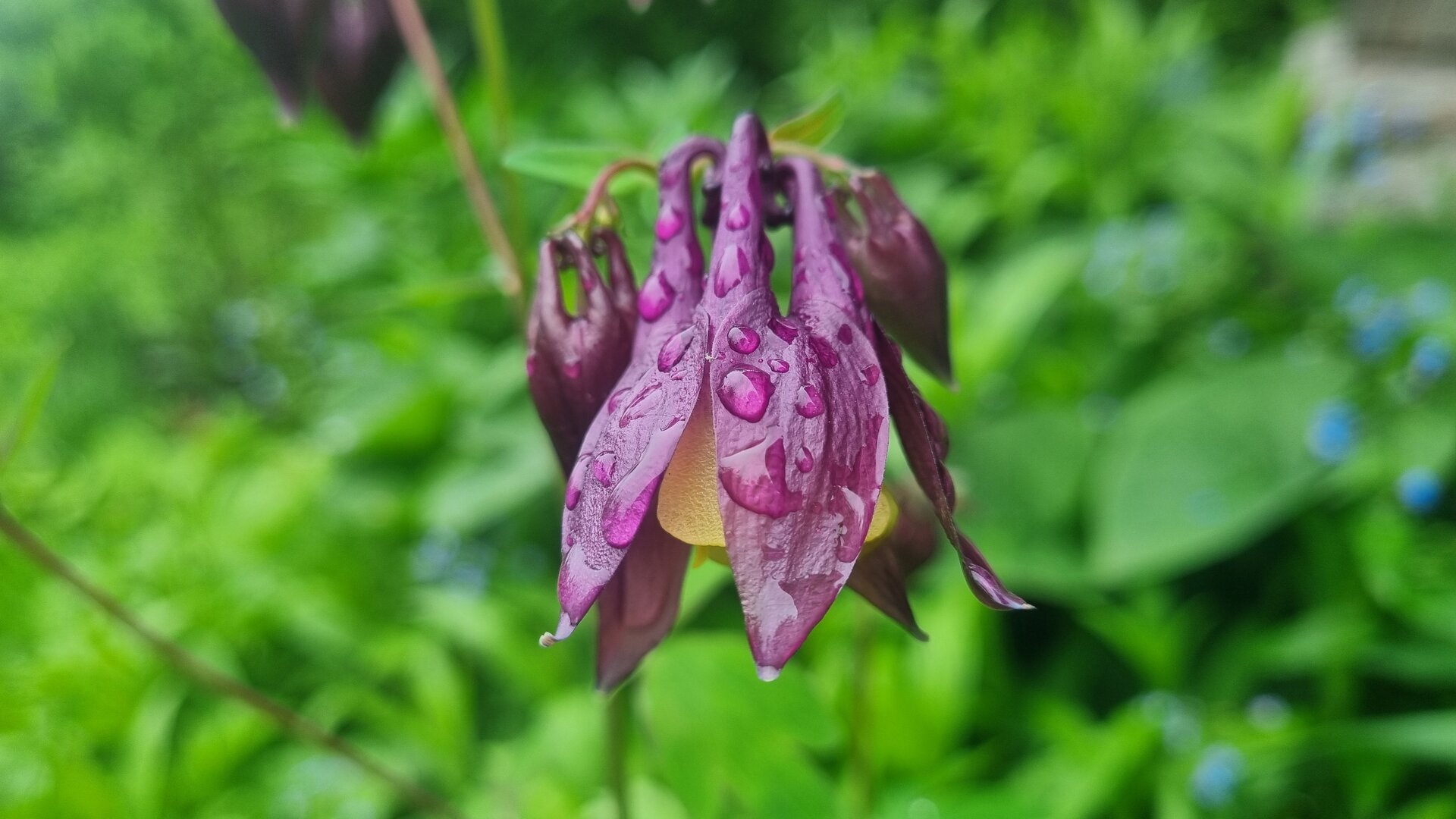 20260606_180710.jpg
