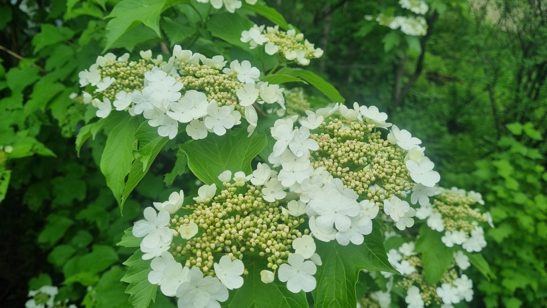 20260606_181214.jpg