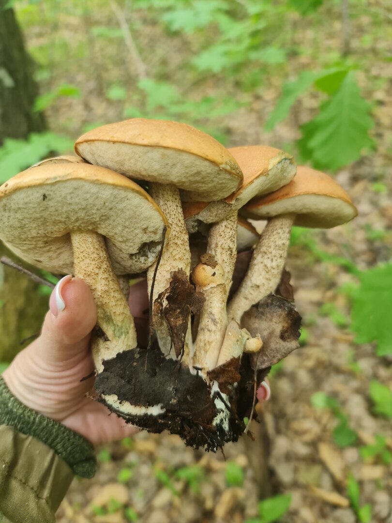 20260607_110042.jpg