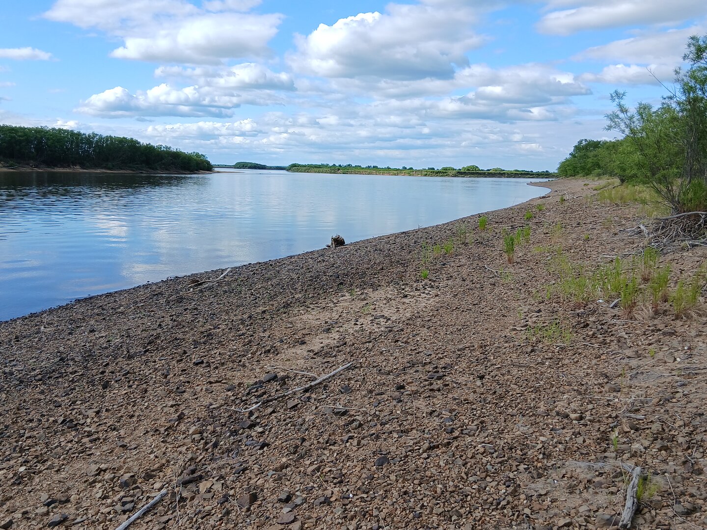 20260607_173955.jpg