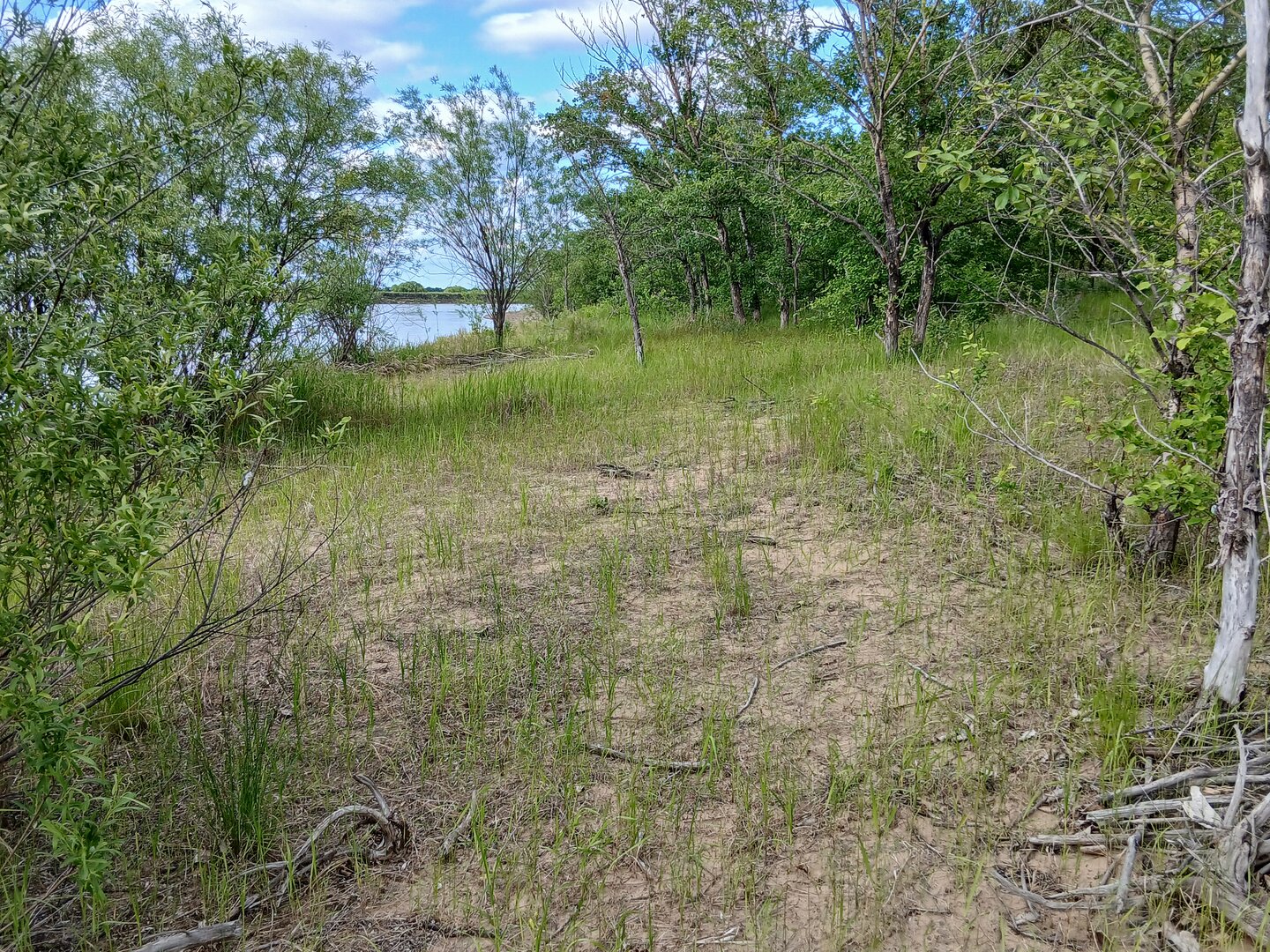 20260607_174047.jpg