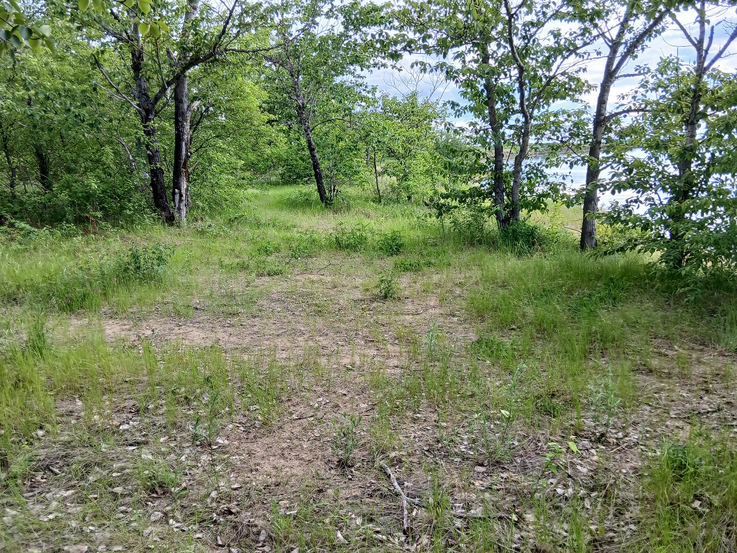 20260607_174213.jpg