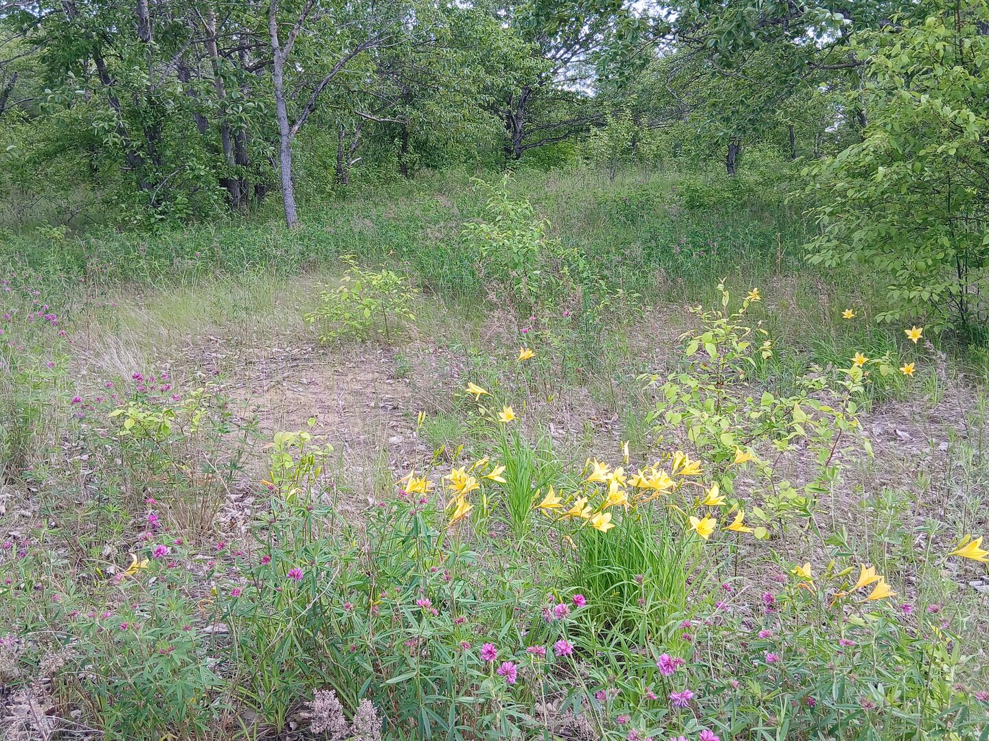 20260607_174409.jpg