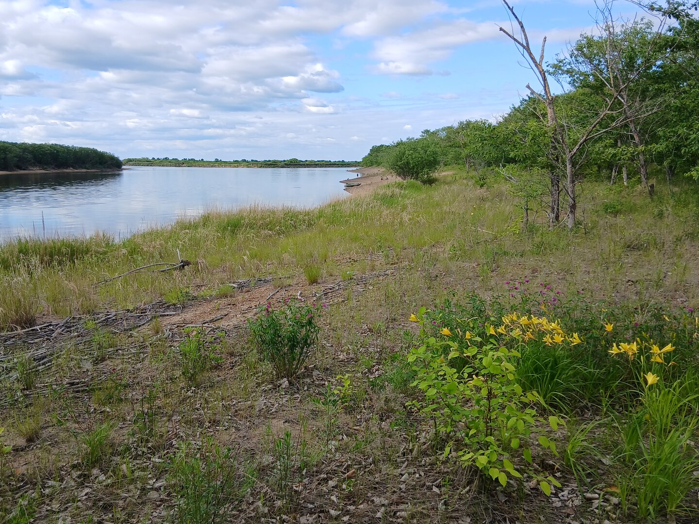 20260607_174433.jpg