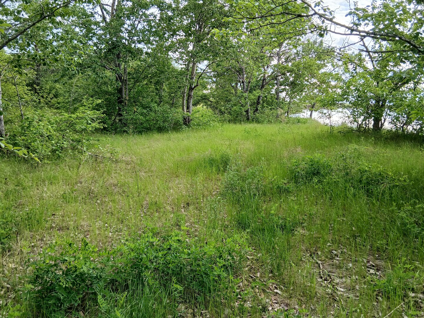 20260607_174514.jpg