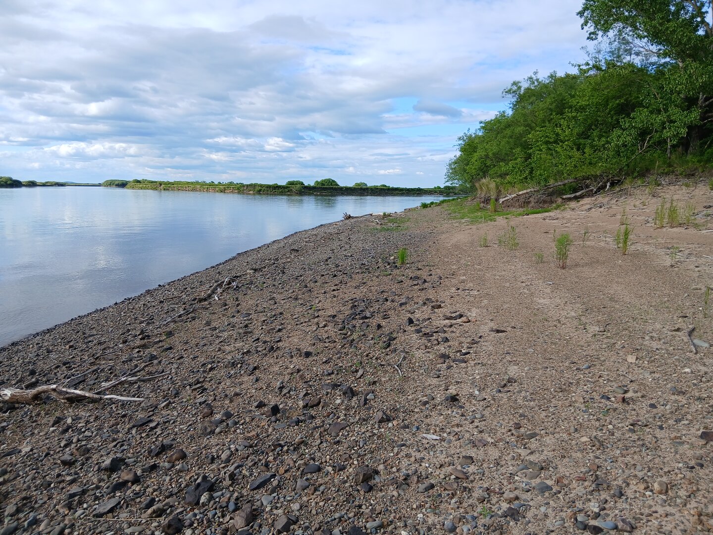 20260607_175945.jpg