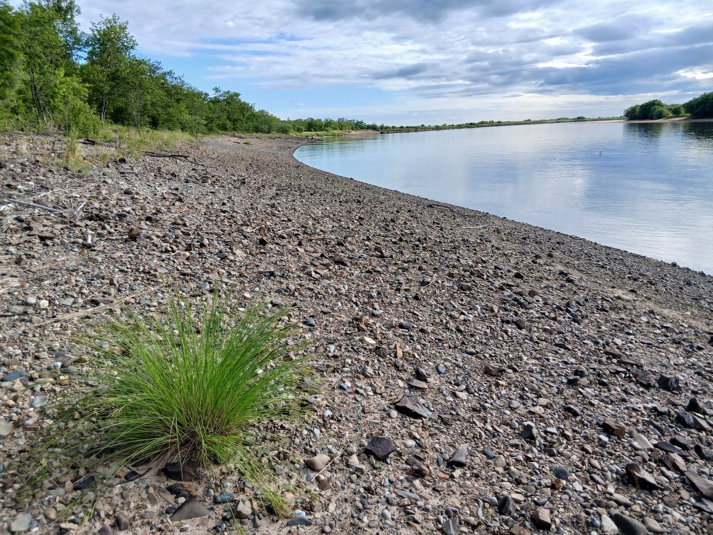 20260607_175957.jpg