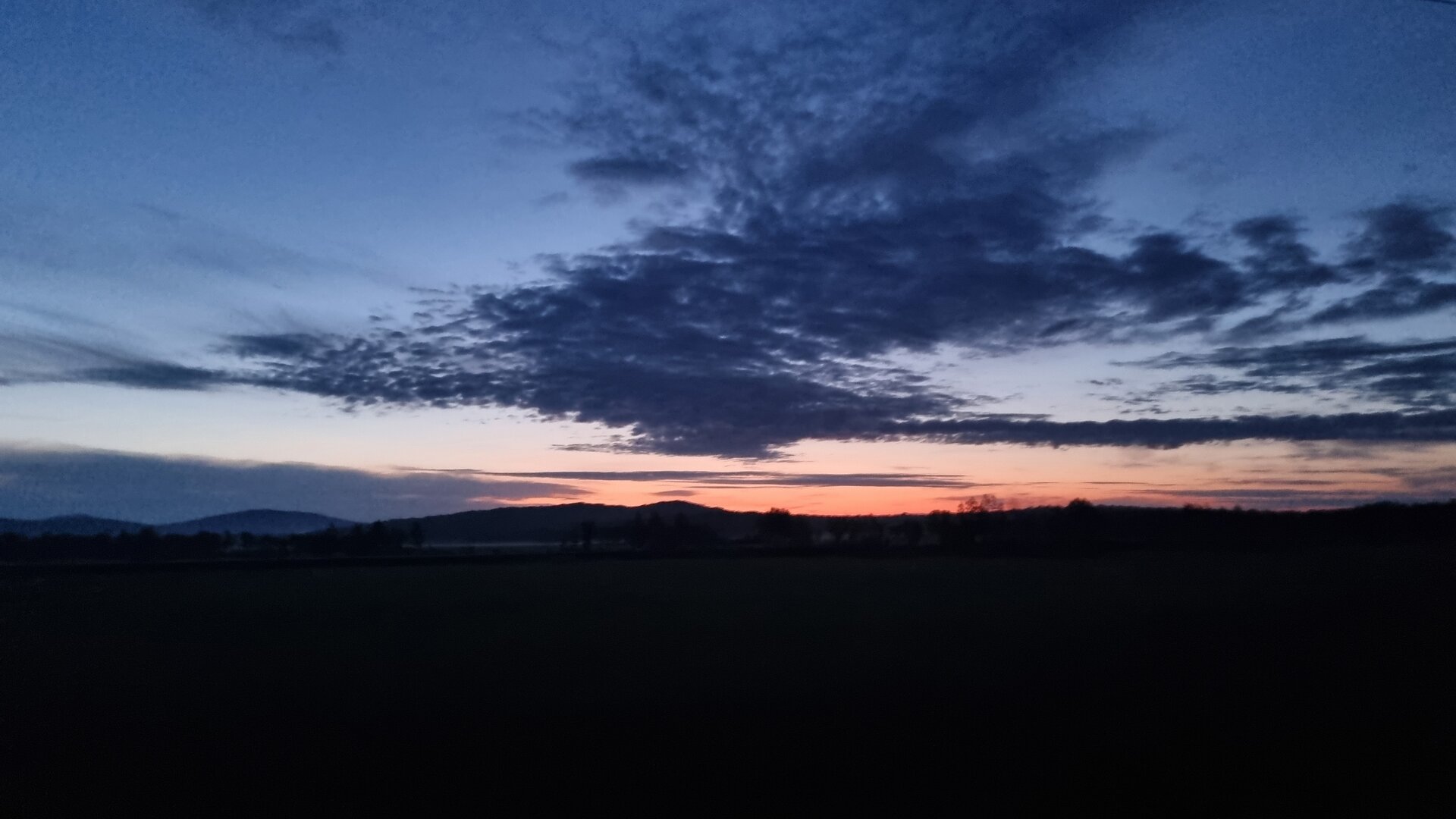 20260609_041433.jpg