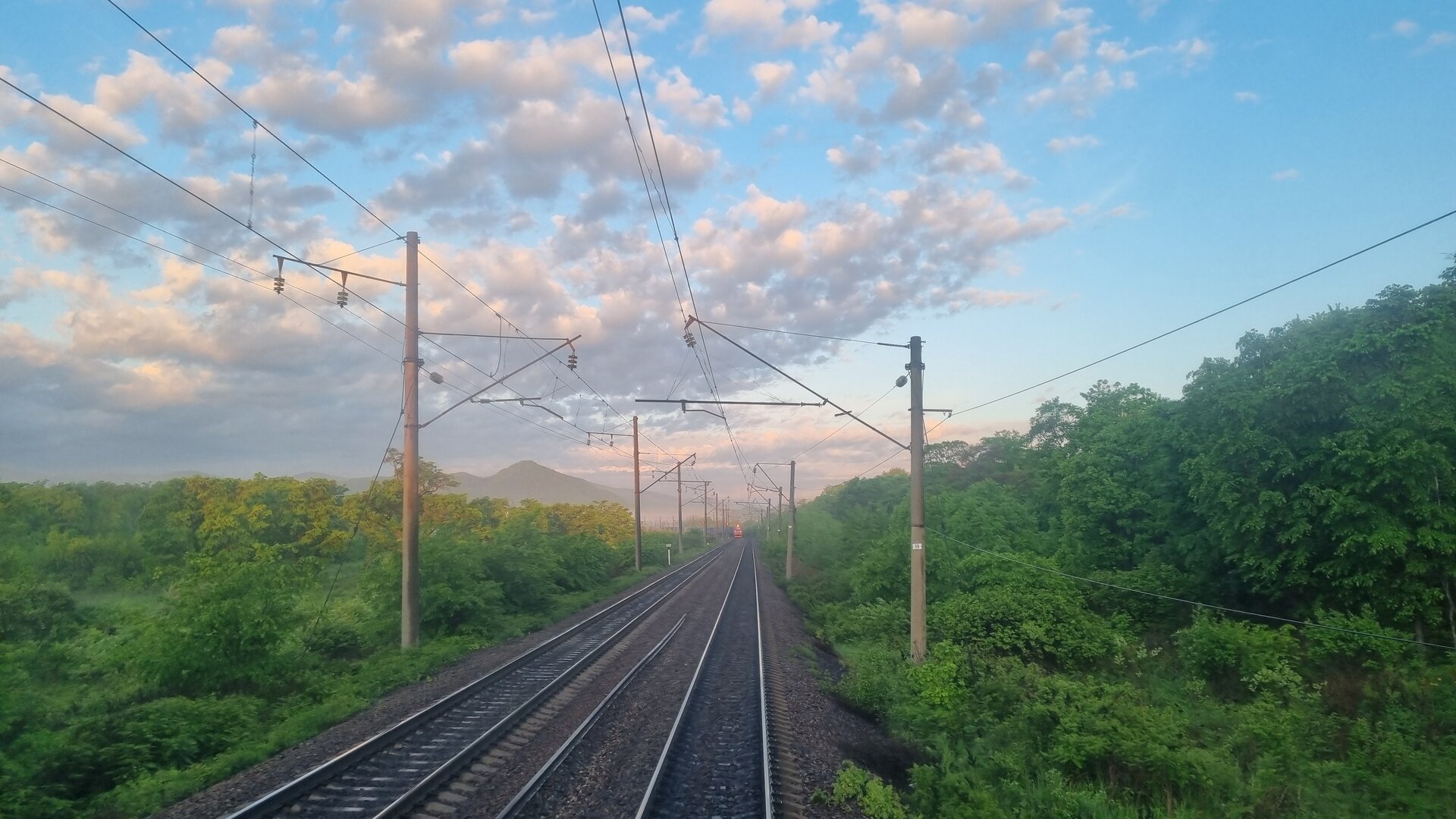 20260609_053157.jpg