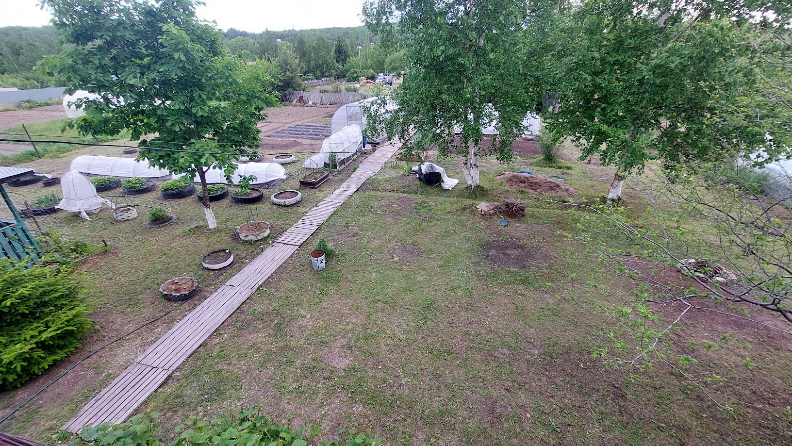 20260614_192030.jpg