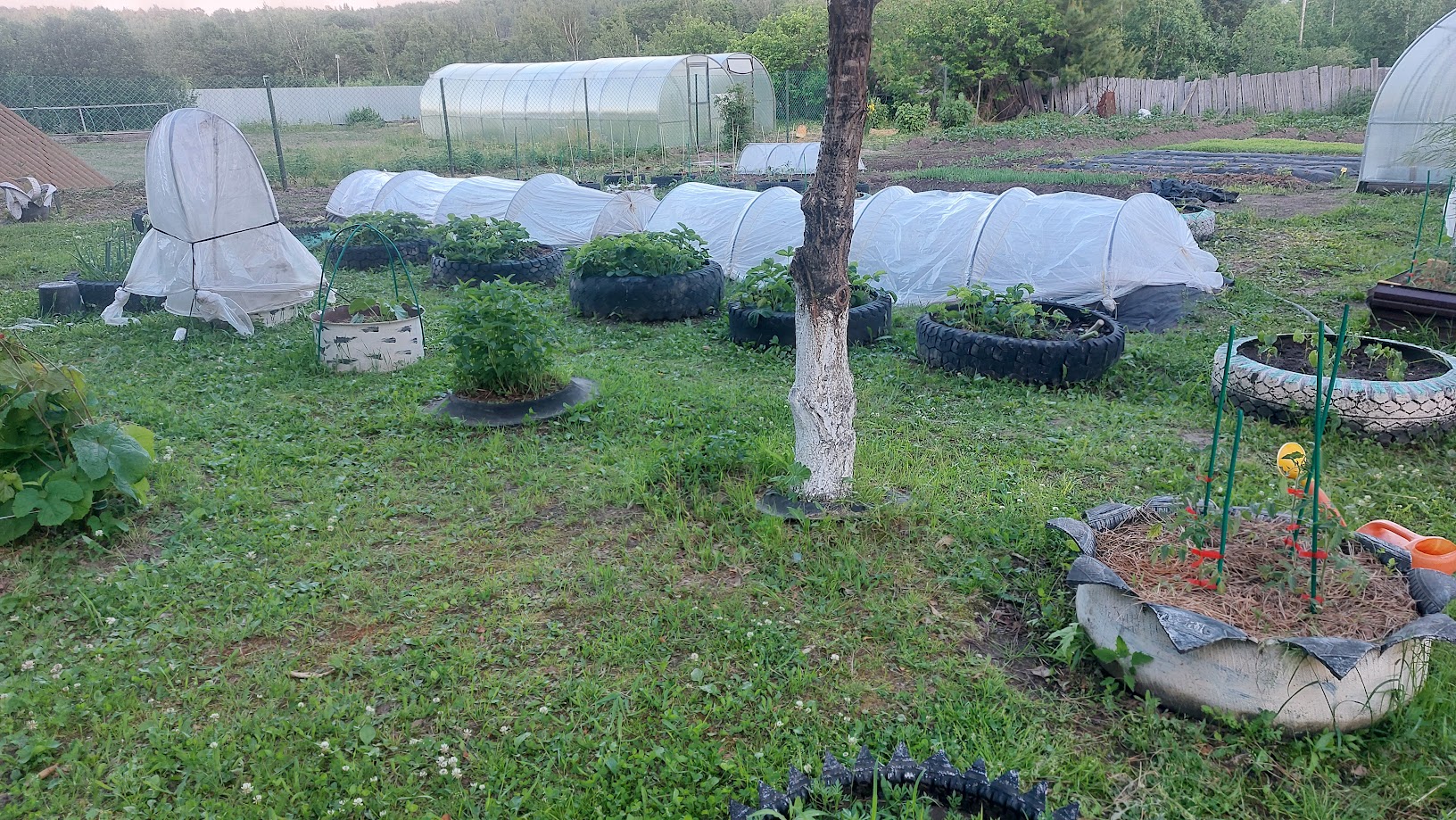 20260623_203942.jpg