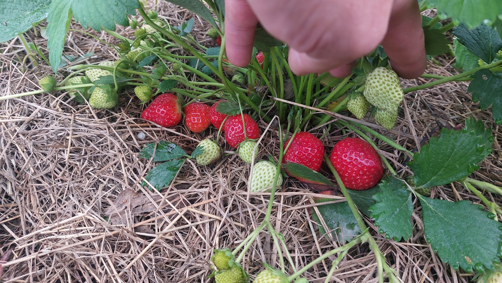 20260628_063819.jpg