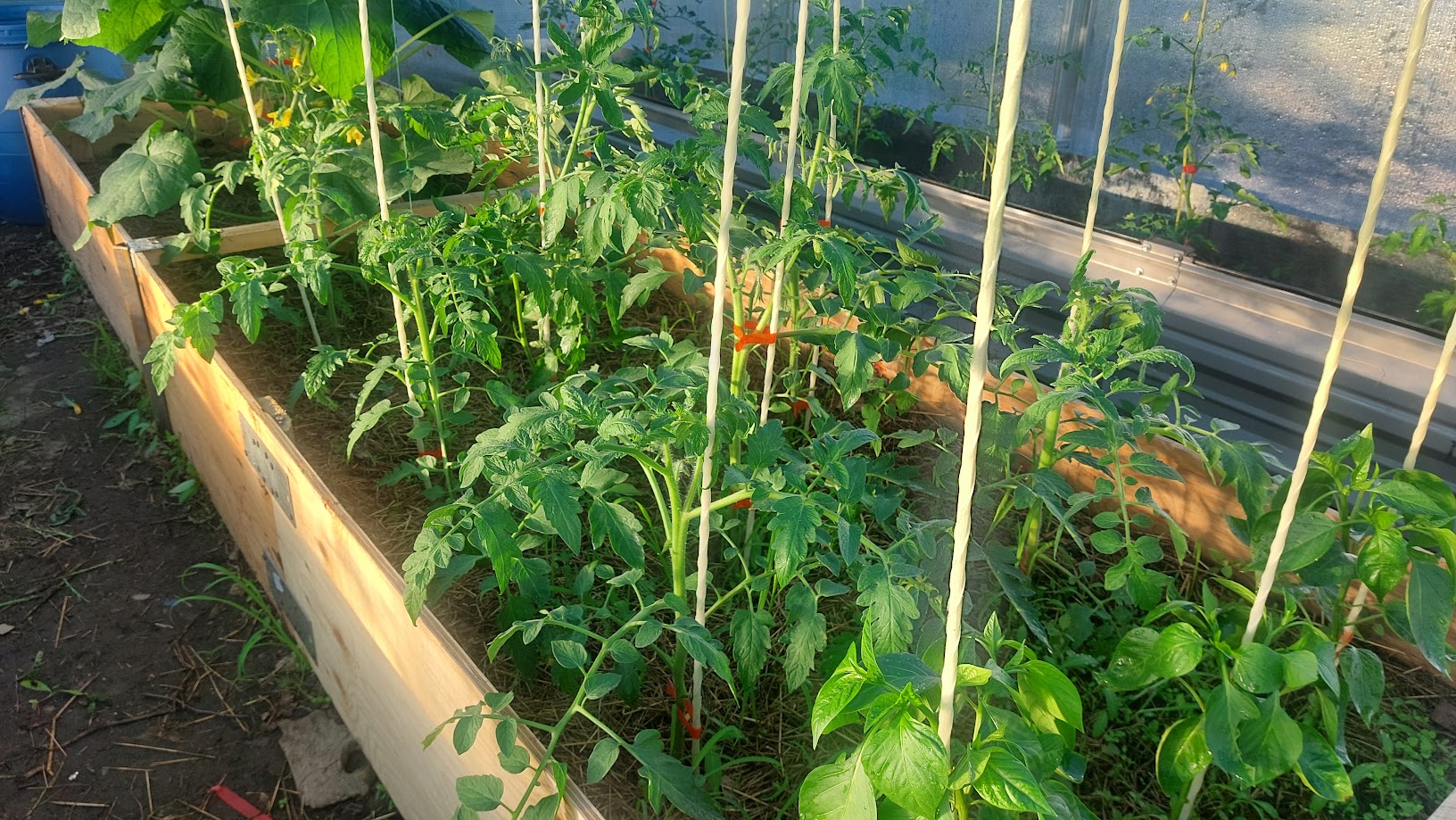 20260630_195533.jpg