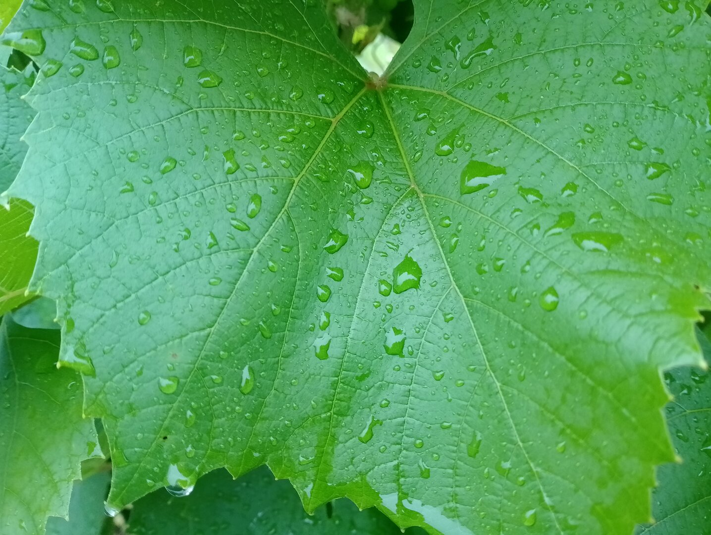 20260705_170807282.jpg