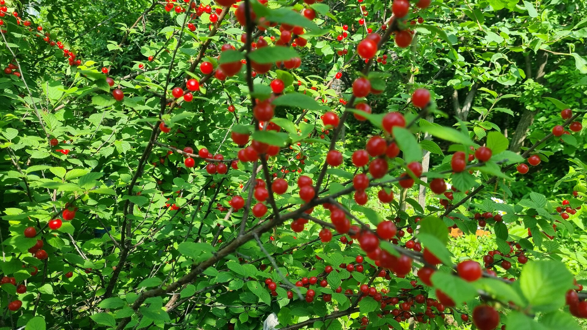 20260712_151334.jpg