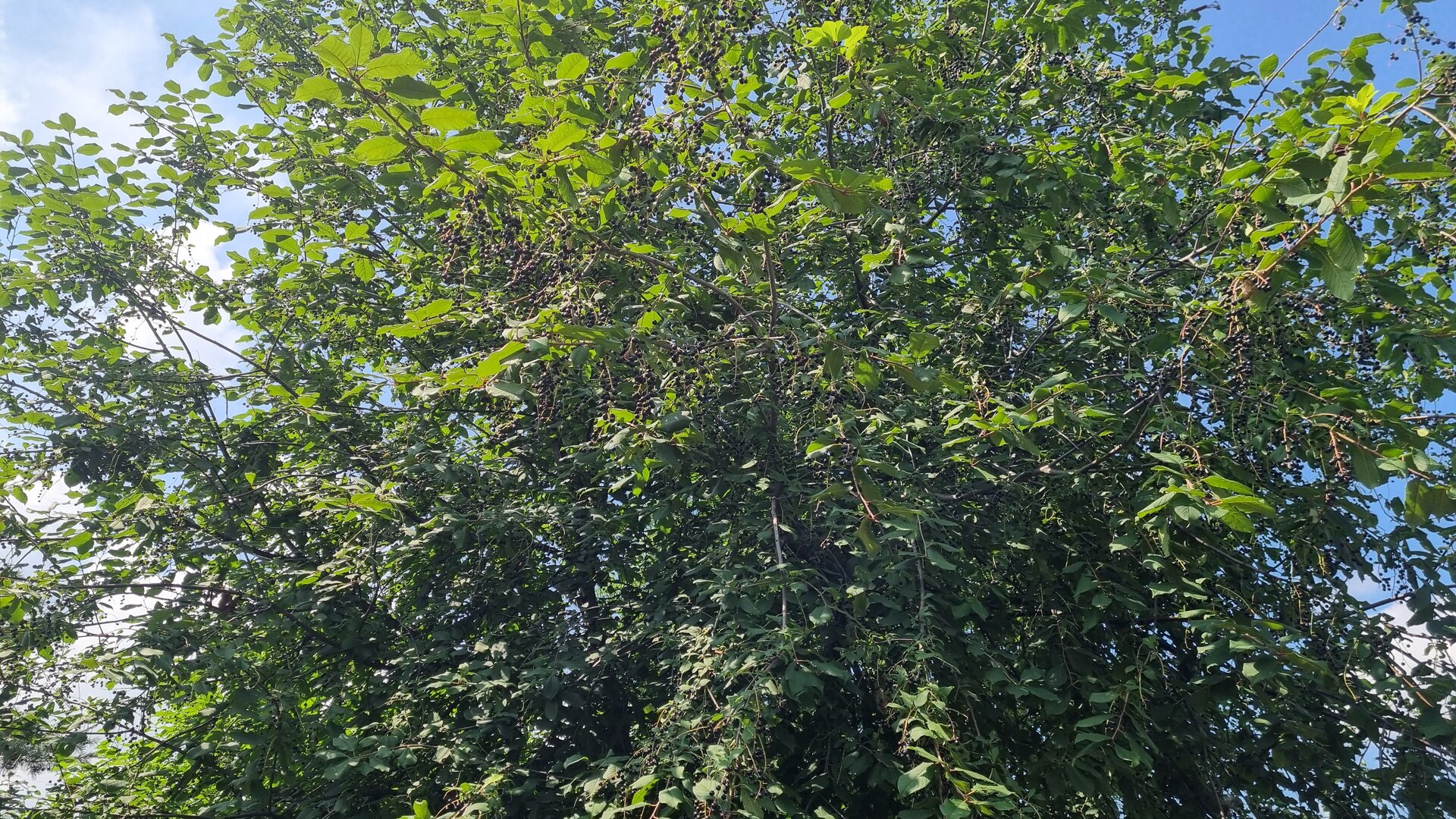 20260712_152622.jpg