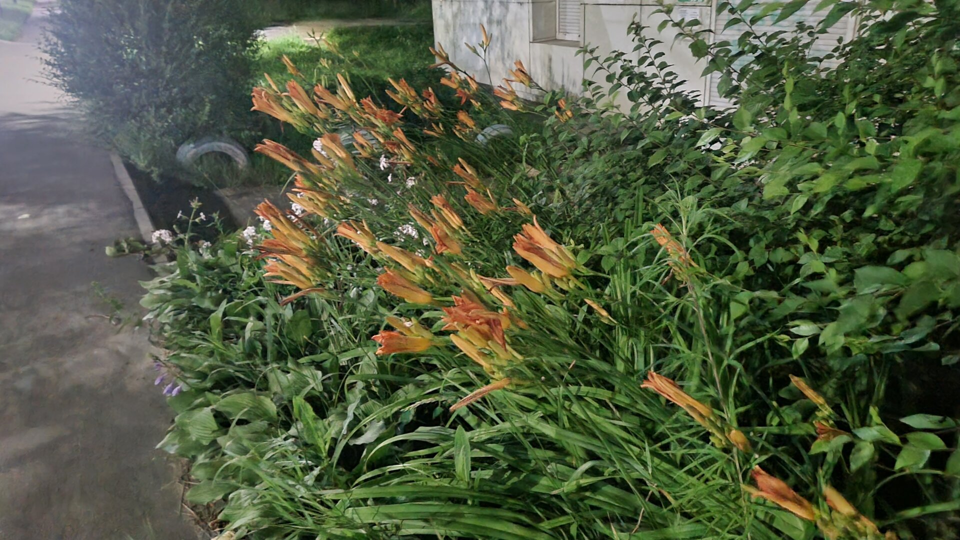 20260716_230503.jpg