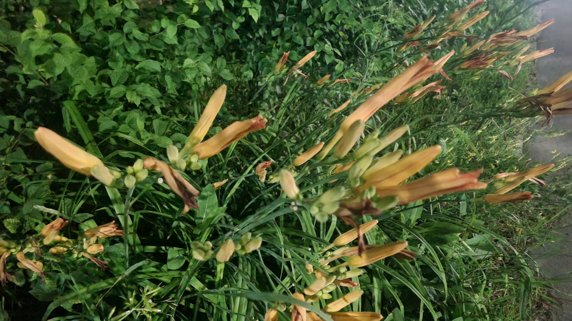 20260717_022907.jpg