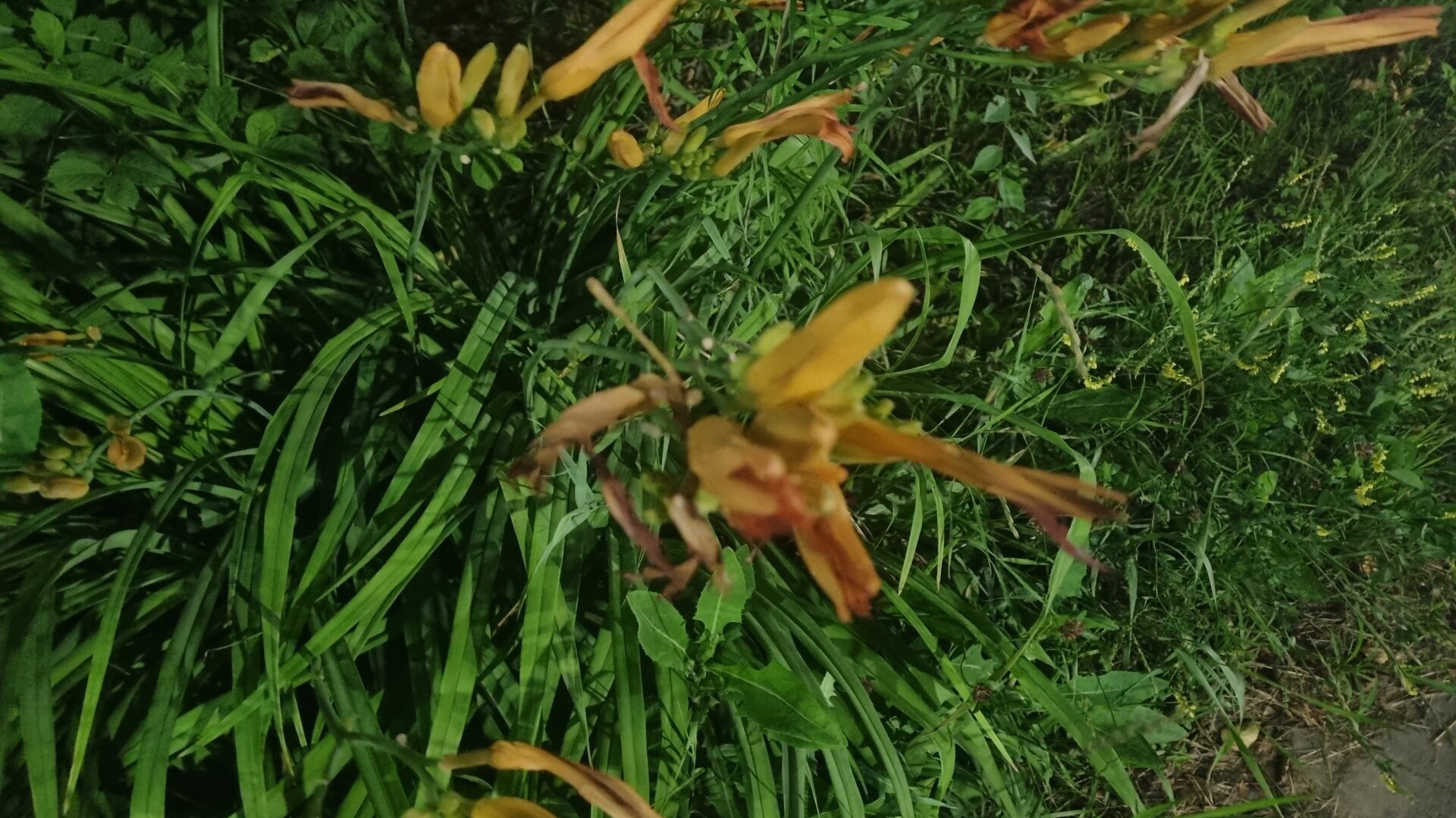 20260717_022914.jpg