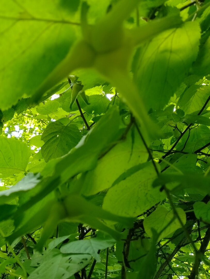 20260719_132456703.jpg