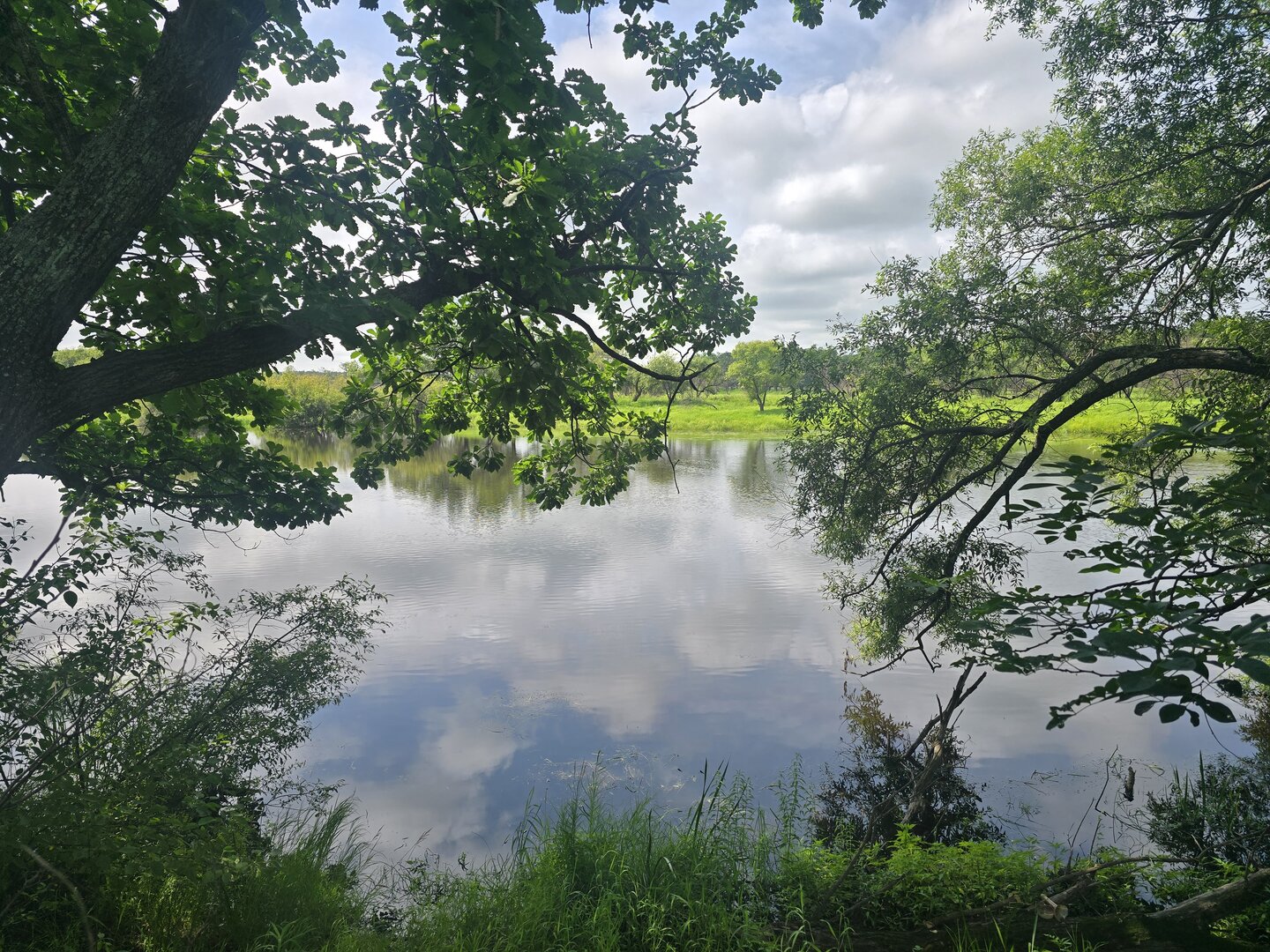 20260724_112819.jpg