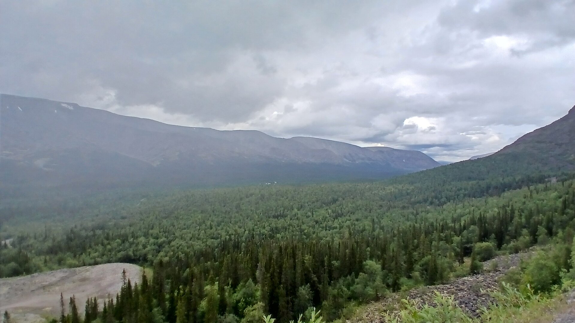 20260725_114915.jpg