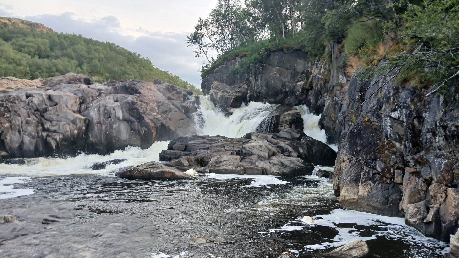 20260731_204043.jpg