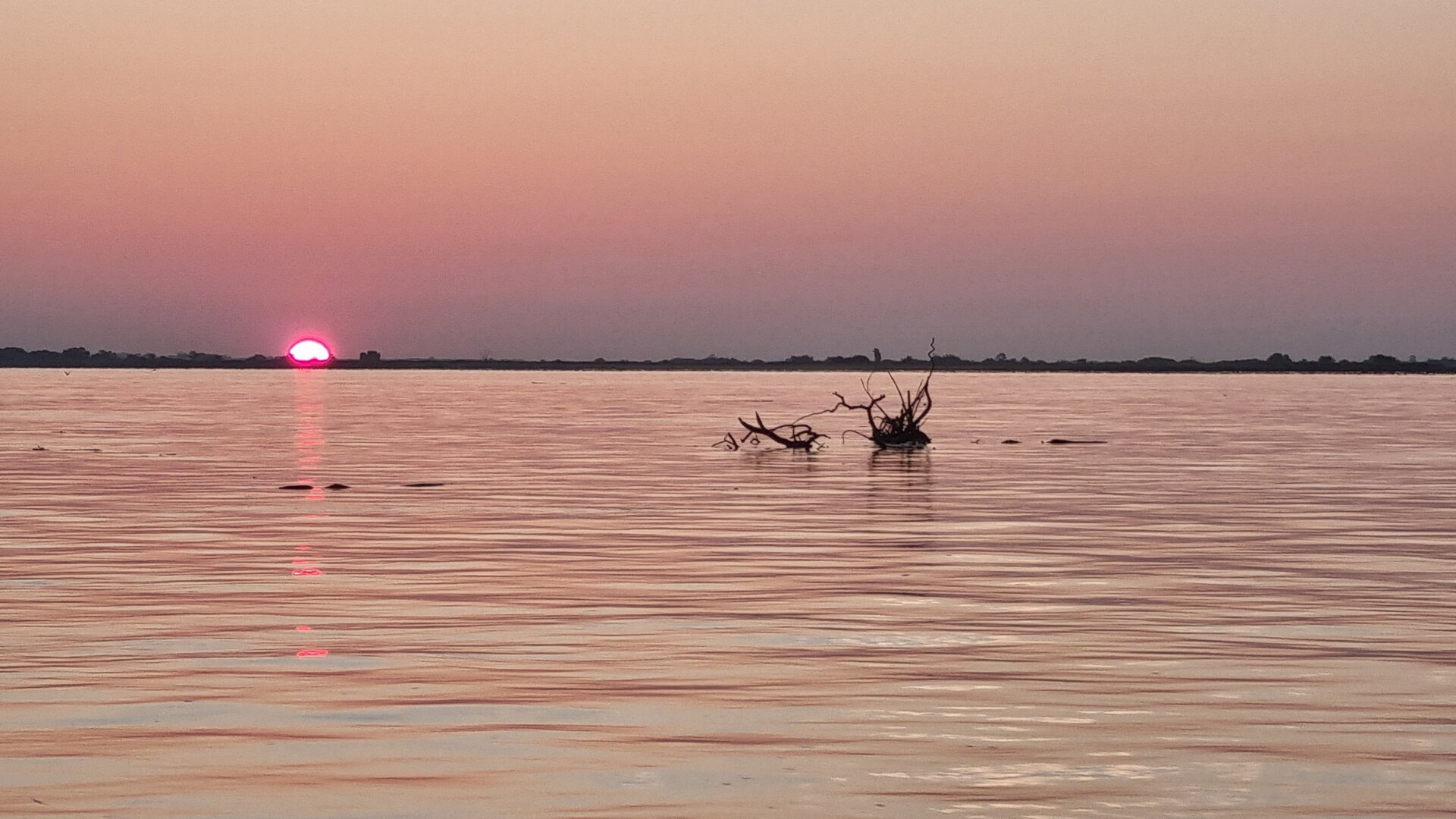 20260802_053537.jpg
