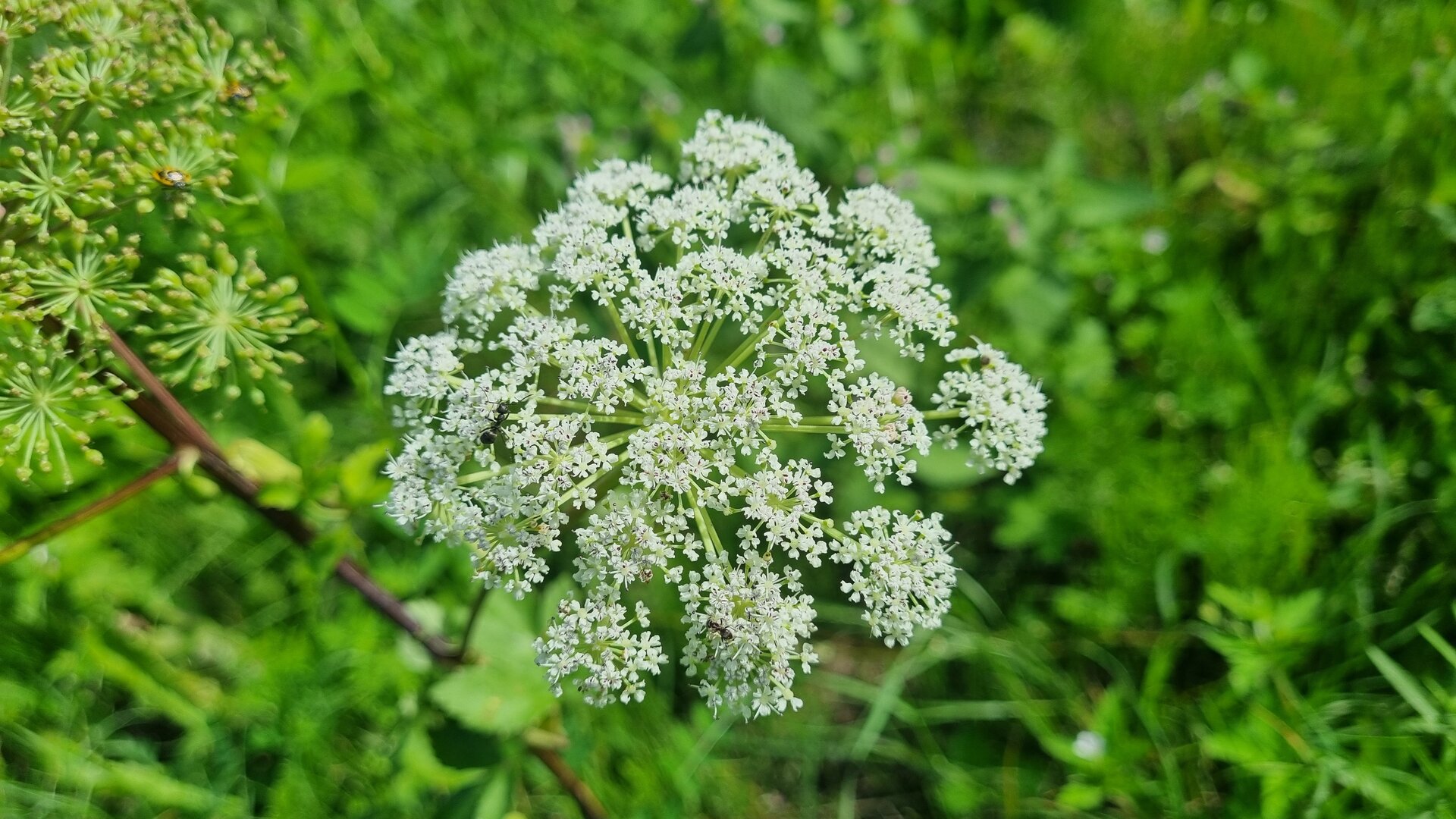 20260807_162601.jpg