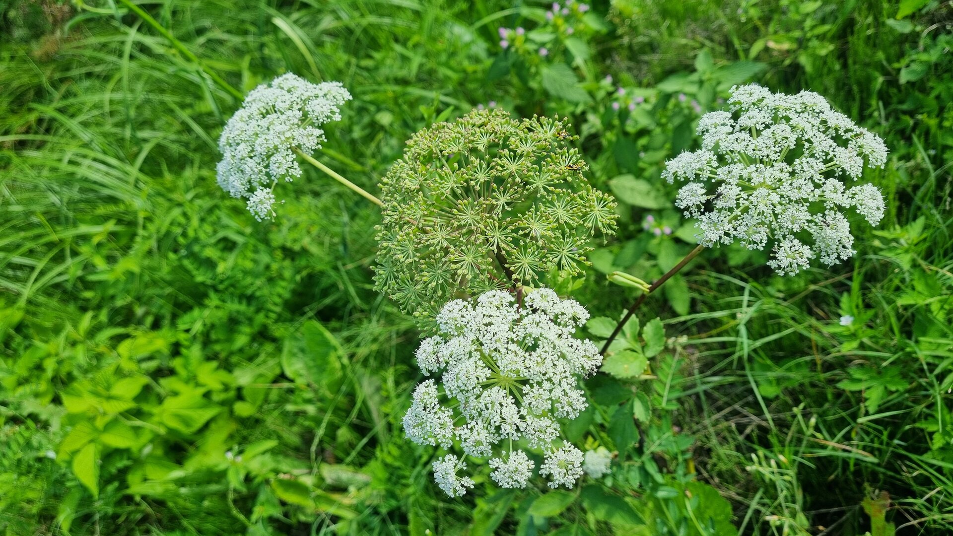 20260807_162609.jpg