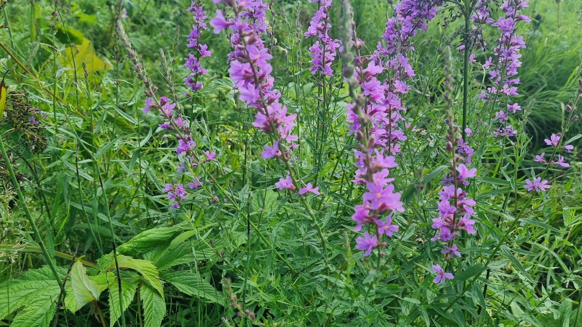 20260807_162933.jpg