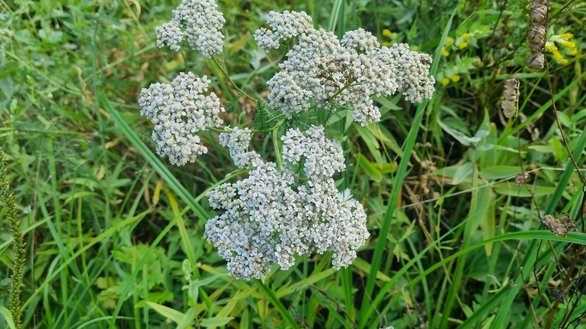 20260807_163009.jpg